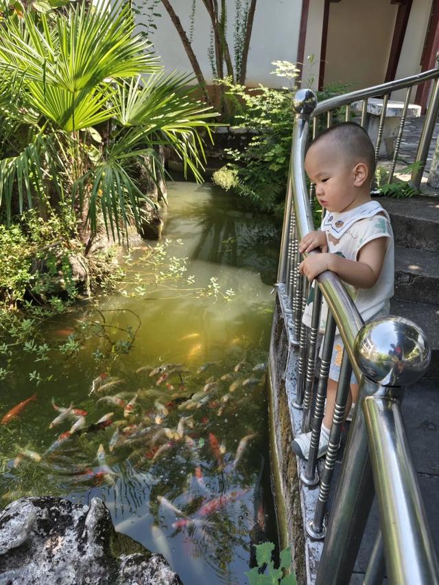 泑游丨梦醒雨湖