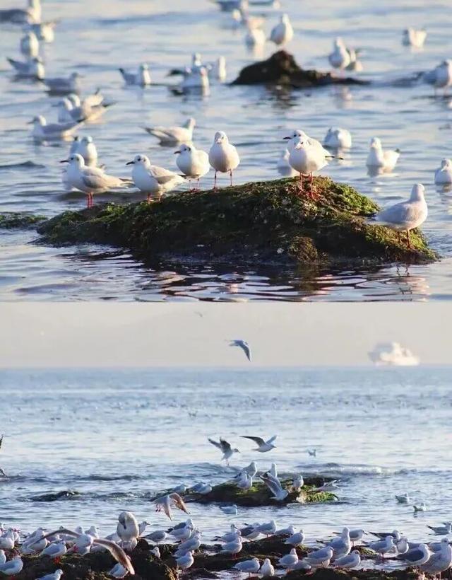 冬日畅游齐鲁，相约乐GO山东！