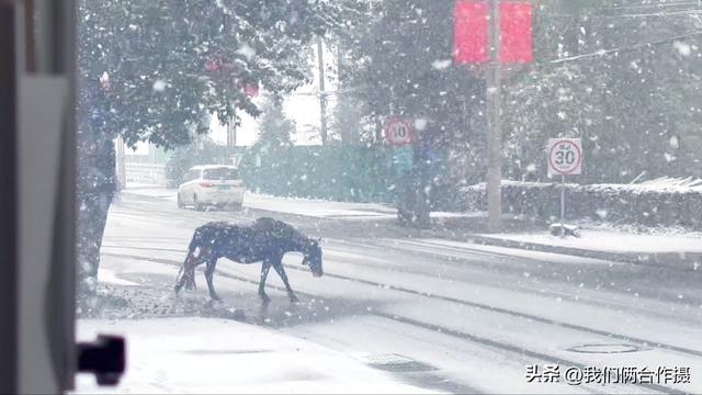 一匹黑马暴雪中压马路，夫妻房车旅居川西，靠充电桩续命！