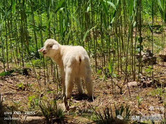 申艳娟｜北京宽沟会议中心：京郊的宁静桃源
