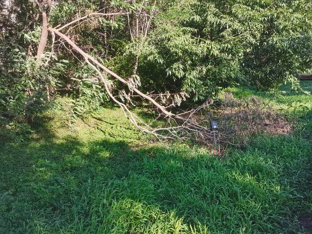 六问沈阳北塔公园空灵花海景点为何无花只有荒草