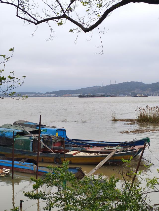 福州近郊最动人的烟火气：新垱村(2026·3·3)