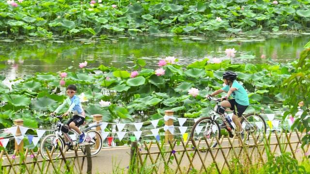 国庆来呈贡圆美好丨奔赴这些心动点位 把呈贡美好刻进记忆里