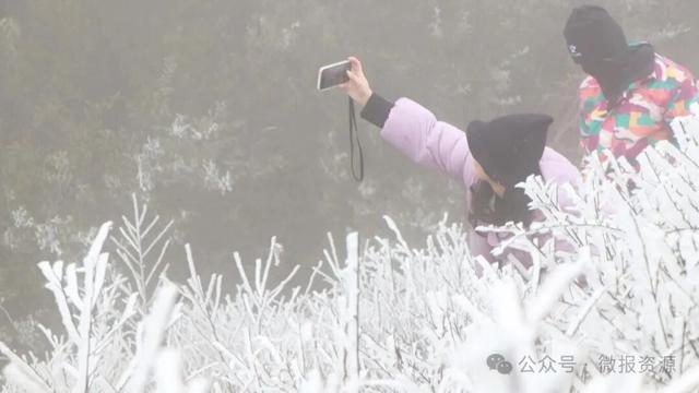 资源县隘门界雾凇持续绽放 8日前高海拔地区仍可邂逅“冰雪童话”