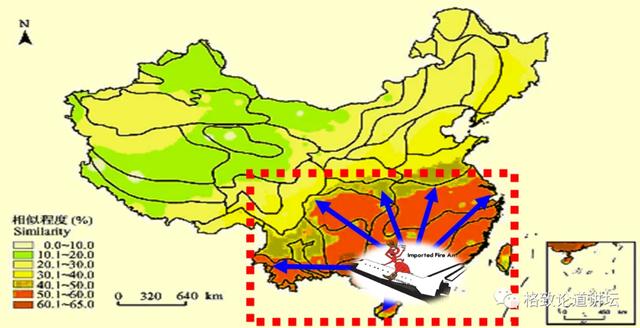 80%以上的村民都被咬，围攻广东村庄的这个入侵物种究竟什么来头