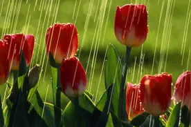 男人既不爱你，又不断联，他的想法大概是这样的，与爱无关图片