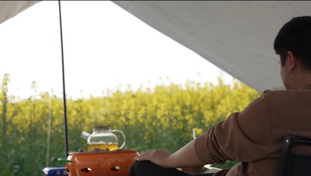 长江岸线铺金毯，顾家店油菜花海引客来！