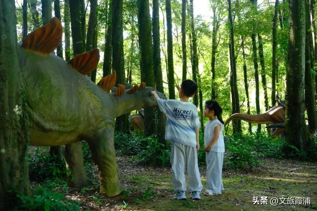 每日一村：茶岗村——茶香畲韵交融，山海间的文旅活力地