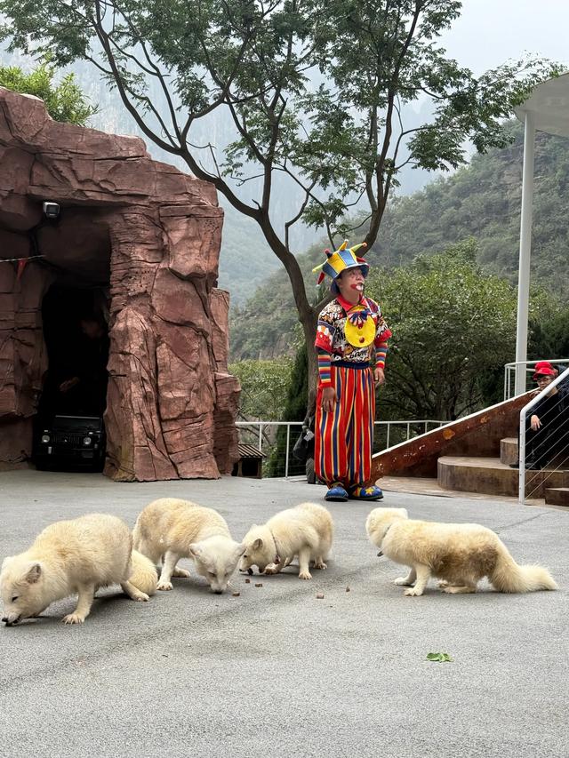 【秋驾长江】圆满完成秋季长江上游和夏季长江源点自驾