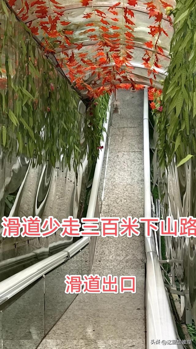 带着老爸乘宣威客运巴士去尼珠河大峡谷