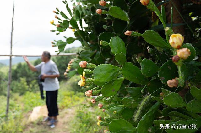 走遍福建古村落，罗源狮子峰下，四百年畲族古村，蓝姓家族发源地