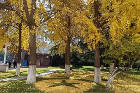 绝对不告诉别人的10句话图片