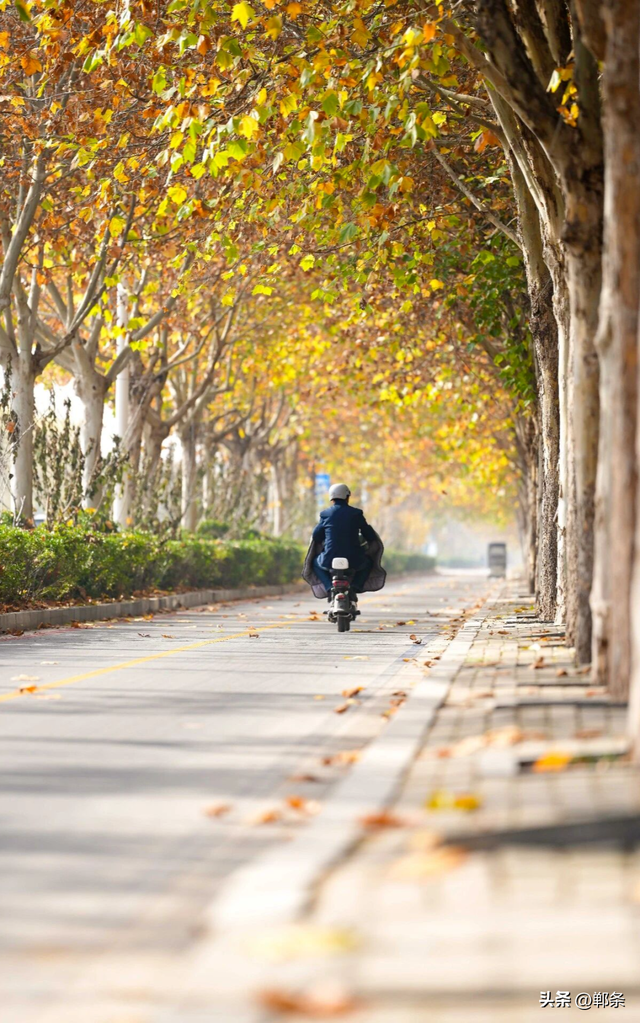 冀南新区独有的初冬韵味