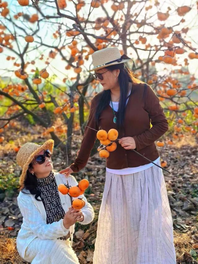 限定美景！九江这个小山村藏着千亩 “红灯笼”