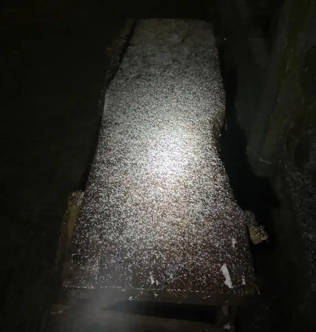 湖北也下雪了！武当山迎来今秋第一场降雪