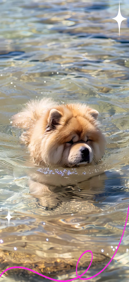 新增养狗知识点：洗澡水里加20毫升碘伏，洗完用清水冲一冲