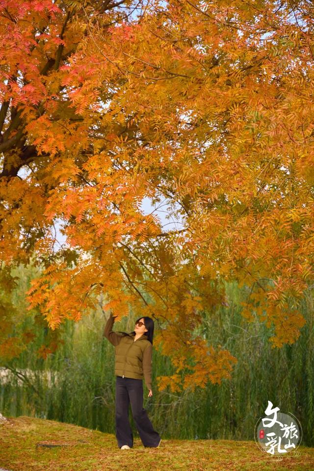 当秋风吻过乳山：一场关于色彩与治愈的漫步指南