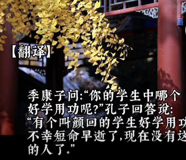 《论语·先进篇》第七章原文、译文及现代启示