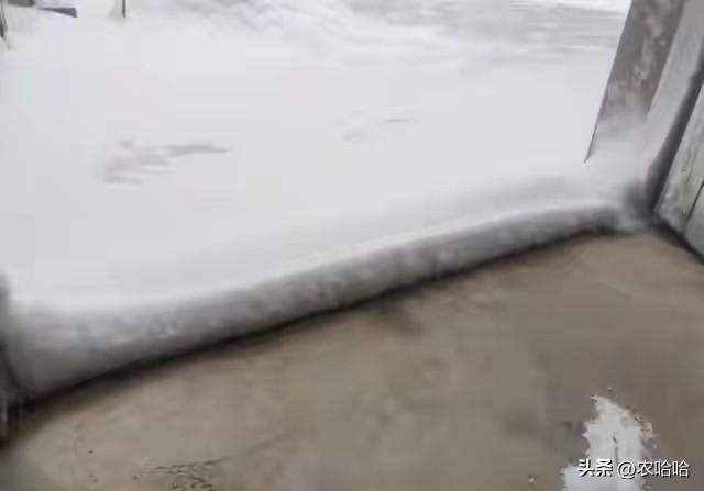 “立冬不过午，三九雪堵门”，明日立冬，今年冬天雪大吗？早了解