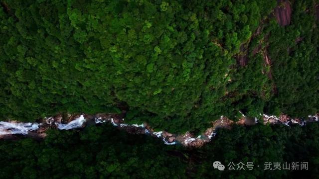 网络名人游武夷 共赏碧水丹山魅力