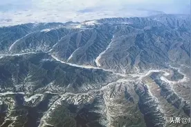 世界上最大的蛇到底有多大？秦岭曾出现盘山巨蟒，又是真的吗？图片