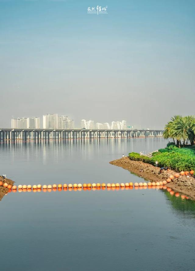 漫步前海：邂逅花海、踏浪听风，在摩天轮下收藏一城浪漫