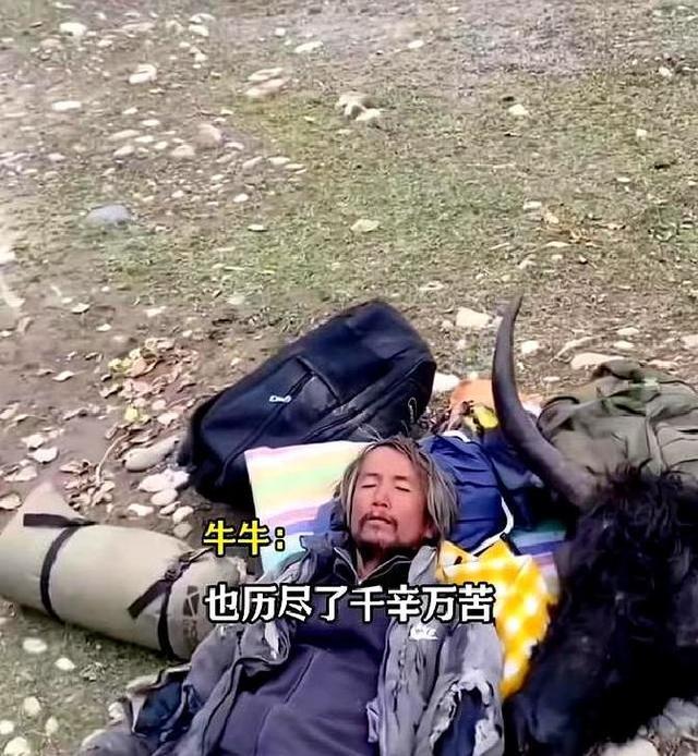看哭了！男子陪抑郁症妻子徒步去西藏，花了200多天，还想去新疆