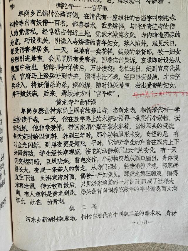 新洲大学城依山傍水的辛冲曲背湖的历史探轶
