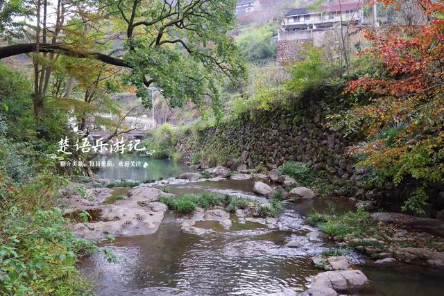 浙江宁波四明山深处的秘境，近50株古树营造油画般的风景，很好玩