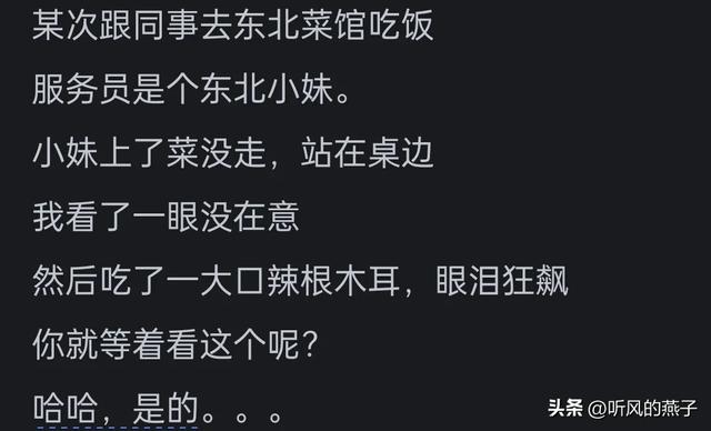 东北人为什么这么有趣？网友分享: 东北人自带幽默感，骨子里的