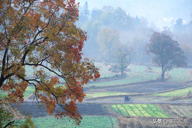 秋色塔川，无梦到徽州