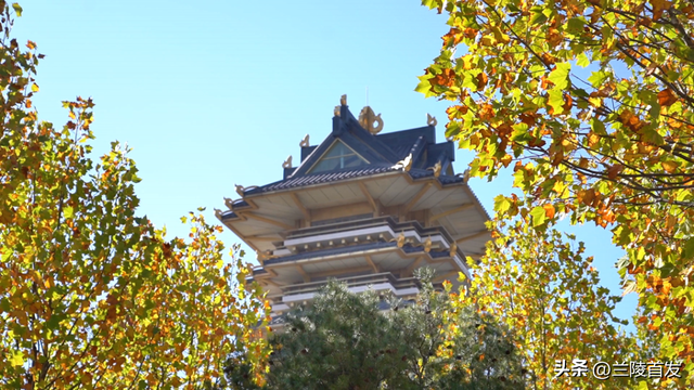 好客山东好品山东| 临沂的秋天，这10处绝美打卡地别错过！先收藏慢慢逛~