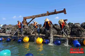 炎炎八月天，“五贝争鲜”添口福图片