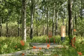 130公里！朝阳将启动这段绿道建设图片