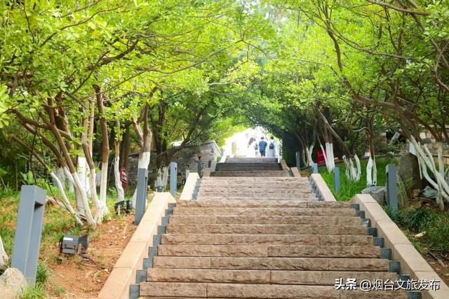 【乐游烟台】被问爆的的烟台登山好地！后悔没早来！