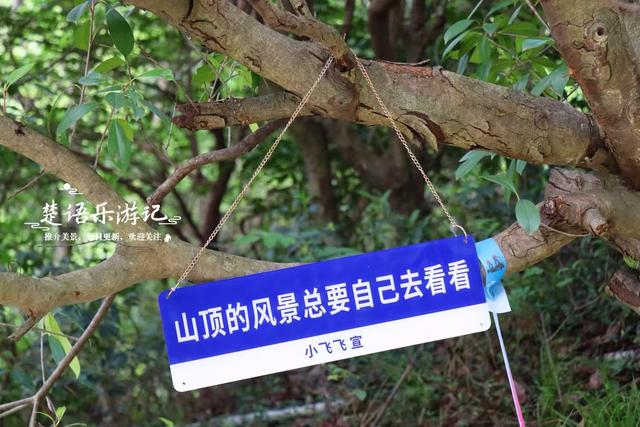 浙江宁波的小灵峰古道，连接着诸多古寺，不仅景美还很适合徒步