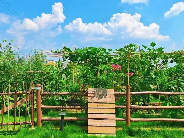 一键复制！高埂街道冬季遛娃宝藏路线！