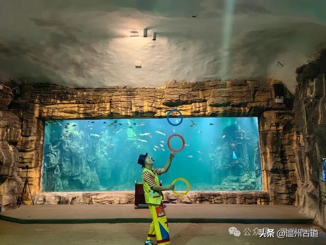 温州这个以畲族始祖命名的4A级景区，秘藏着一座“生物王国”！