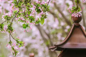 读书为何记不住？真正的阅读，有五个层次。看看你在哪一层？图片