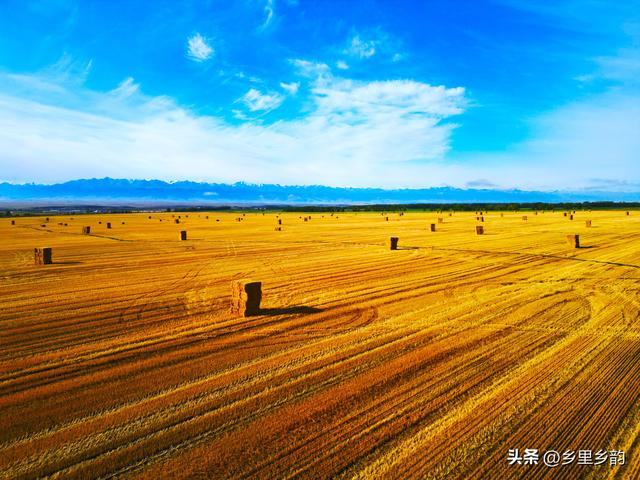 一篇感叹河南人在新疆的文章，引起关注，其它省份的网友不淡定了