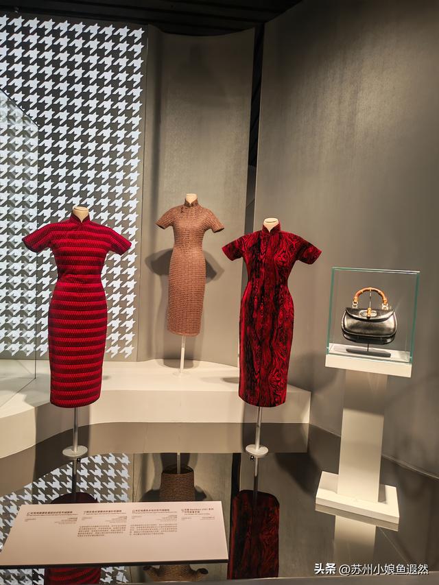 冬日限定浪漫！上博打卡百年旗袍，邂逅张信哲私藏的东方摩登