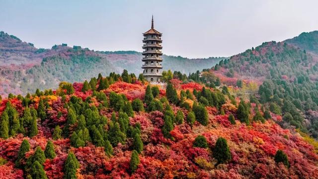是谁打翻了济南的调色盘？这里有一场盛大的秋日盛宴即将来袭！