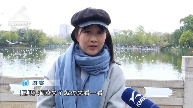 “人少不挤+暖阳鸥遇”，昆明“杀”进淡季旅游热门榜！