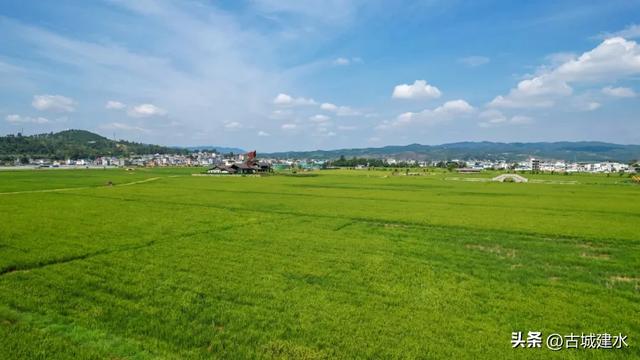 出片率100%！建水稻田公园铺开绿色海洋