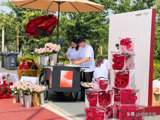 街头流动花车、城市音乐会、非遗雅集……昆明人过七夕，从来不设限！附最强攻略