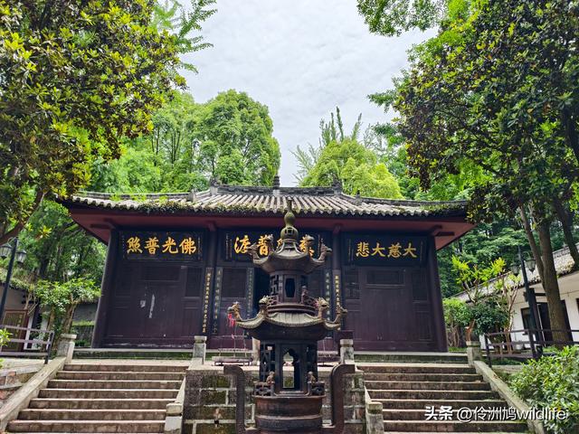 成都徒步（64）·新津篇③观音寺