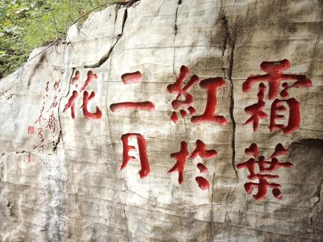 最新实拍！潍坊这里迎来“全红时刻”！