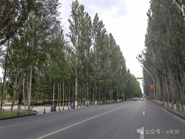 新疆“西施”，美翻天！