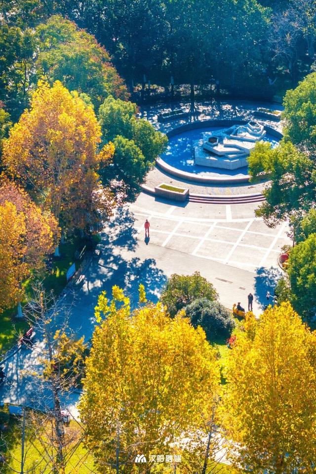 限时绝美！汉阳全城颜值巅峰，零换乘直达