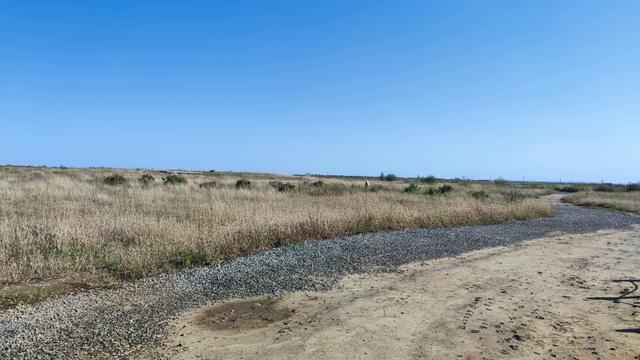 包头天下黄河第一村，靠着黄河边，风景还是不错的